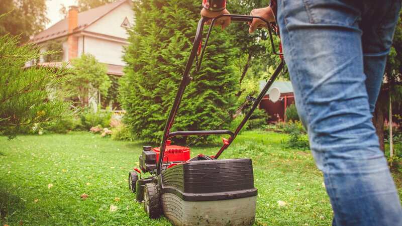 He mows the same spot every day three times a day (stock photo) (Image: Getty Images)