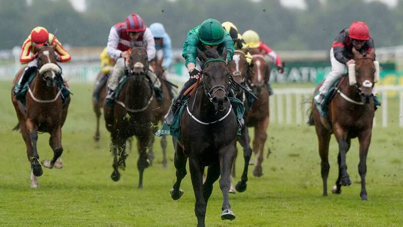 Relief Rally and Savethelastdance light up a murky afternoon for punters