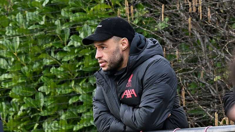 Former Liverpool midfielder Alex Oxlade-Chamberlain is being chased by three clubs (Image: Getty Images)