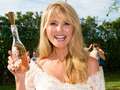 Model Christie Brinkley shows off ageless beauty after 'wrinkle brigade' trolls dqxikeidqkikdinv