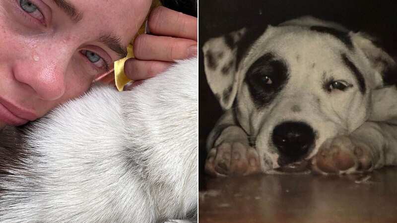 Billie Eilish has announced that her dog Pepper has died