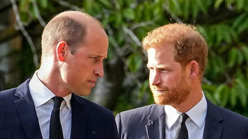 Prince William to visit US days after Harry