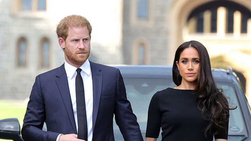 Prince Harry and Meghan Markle have had a rough time recently (Image: Getty Images)