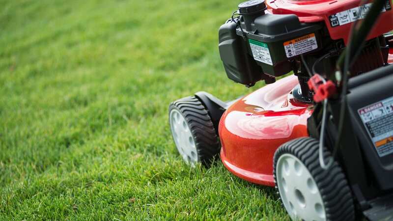 Easy and common mistakes you could be doing that easily kills your lawn (Image: Getty Images/Mint Images RF)
