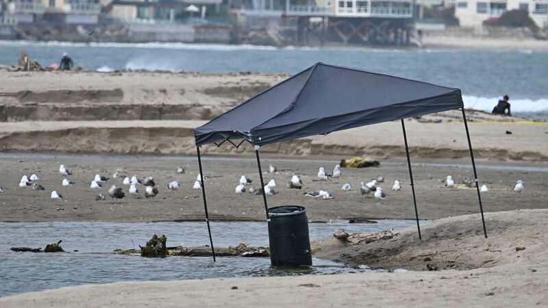 A barrel showed up on the shores of a California beach, sparking an intense murder investigation (Image: AFP via Getty Images)