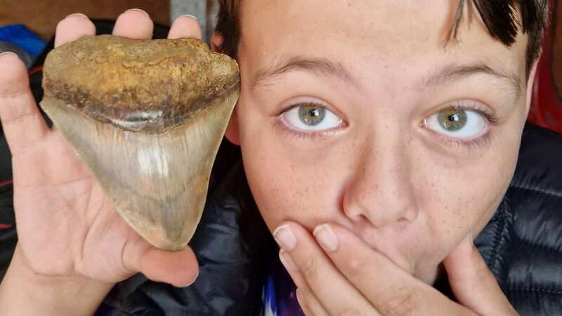 Ben Evans with the tooth (Image: Jason Evans / SWNS)