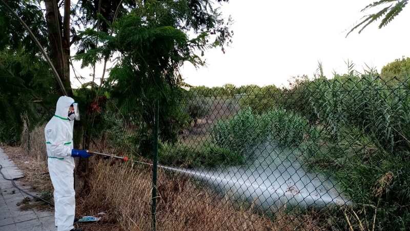 Workers fumigating in an attempt to exterminate the mosquitoes transmitting the West Nile Virus (Image: Town Hall of Palomares del Rio HANDOUT/EPA-EFE/REX/Shutterstock)