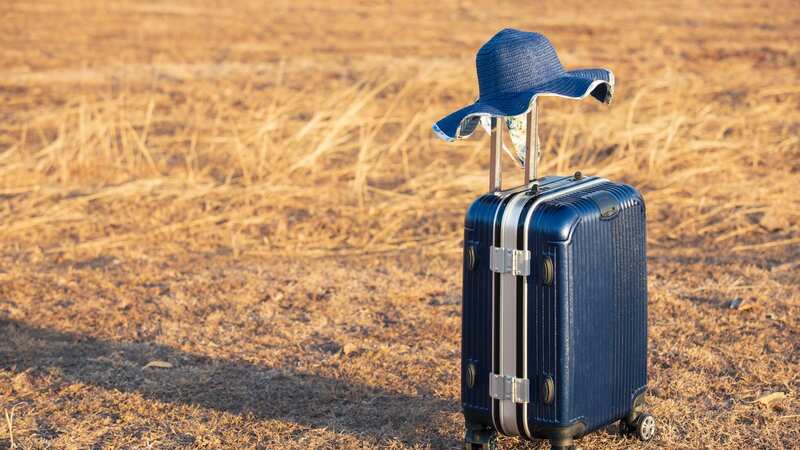 Find the right suitcase for your summer holiday (Image: Getty)