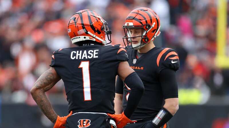 Cincinnati Bengals wide receiver Ja