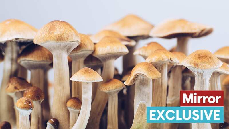 Nobody with a gambling addiction has had psychedelic therapy in a clinical trial before (Stock photo) (Image: Getty Images/iStockphoto)