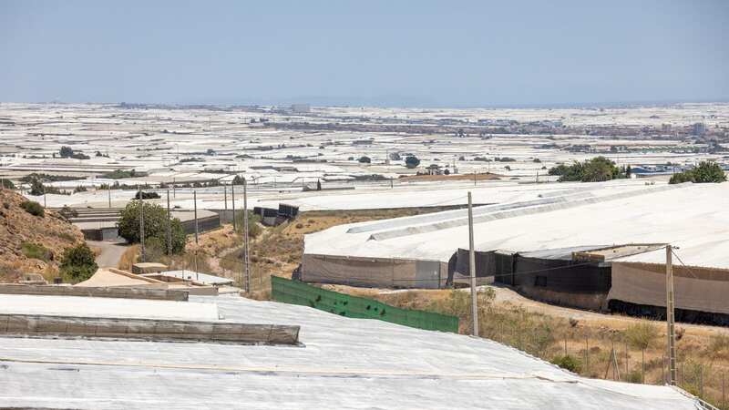 The vast greenhouse stretches for 185 square miles (Image: Andy Commins / Daily Mirror)