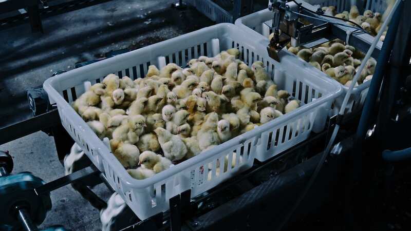 Netflix Poisoned documentary has viewers squirming at 