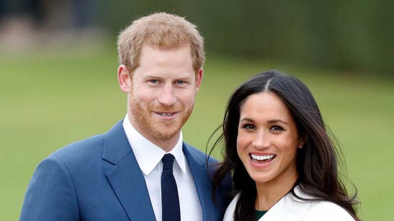 Prince Harry and Meghan Markle are said to be having a rough time in America (Image: Getty Images)