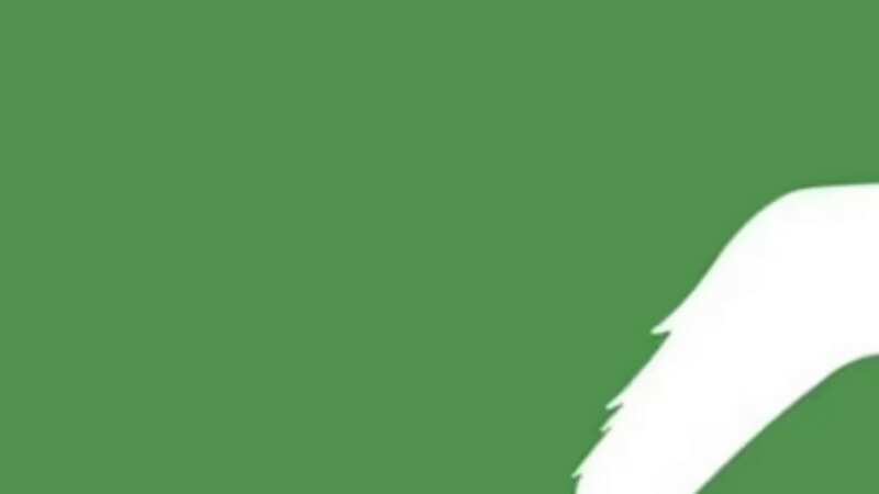 What do you see first? (see full image below) (Image: TikTok)