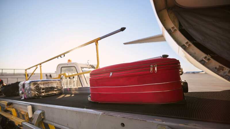 A survey found 28% of UK passengers have experienced problems with airlines mishandling hold luggage (Image: Getty Images/iStockphoto)