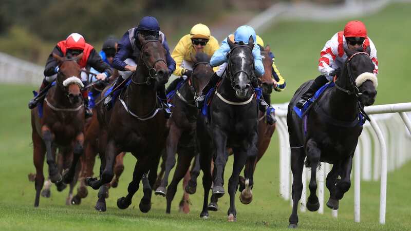 Pontefract hosts a seven-race card on Wednesday, with Newsboy
