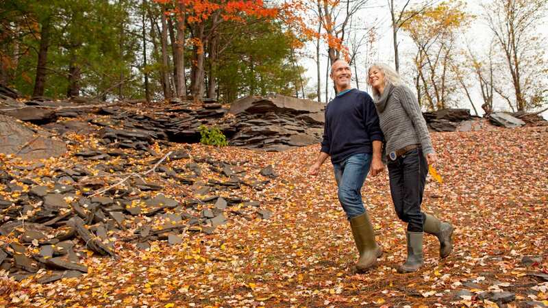 One new study found the huge benefits of walking (stock image) (Image: Getty Images)