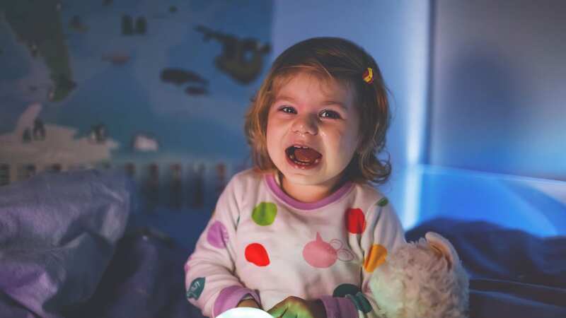 The nursery rhyme has a much more sinister meaning (Stock Image) (Image: Getty Images/iStockphoto)