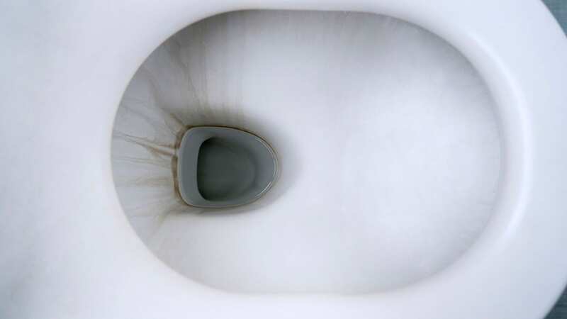 Toilet bowls can end up with a lot of unsightly limescale (Stock Image) (Image: Getty Images/iStockphoto)