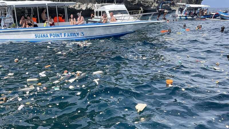 Tourists 