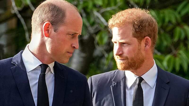 Prince William has beat his brother Harry as the most popular public figure in the US (Image: Martin Meissner/AP/REX/Shutterstock)