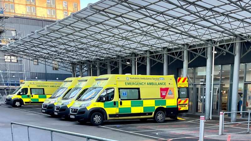 The youngster was rushed to Hull Royal Infirmary after the dog attack (Image: Katie Pugh)
