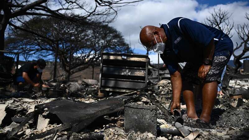Death toll over 80 in devastating Hawaii wildfires as 