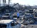 '20 bodies being found a day' in Hawaii with fears death toll of 96 could triple