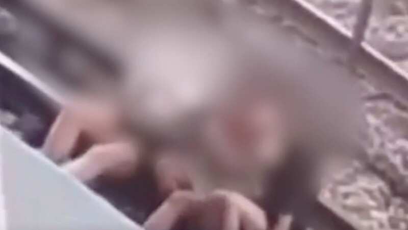 Teens electrocuted by 600 volts touching 3rd rail taking selfie on train tracks