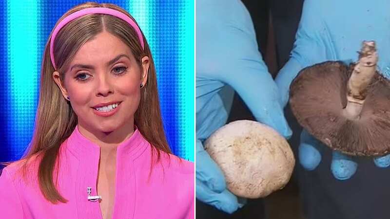 The Chase star apologises for ill-timed joke after Australian mushroom deaths