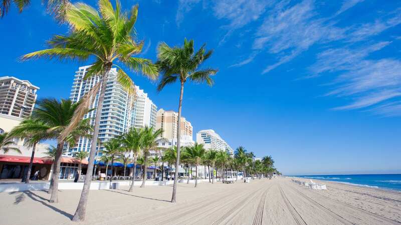 Florida has seen 10 cases this year (Image: Getty Images)
