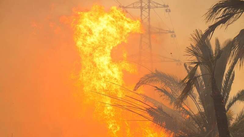 A wildfire ripped through 500 hectares of land near the seaside resort of Argeles-sur-Mer (Image: AP)