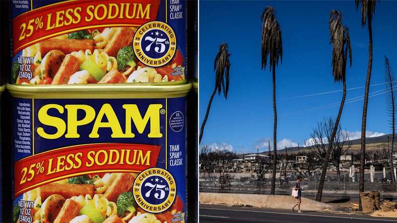 Residents have been collecting food from distribution points across the island after the devastating fires (Image: ANDREW MILLER/EPA-EFE/REX/Shutterstock)