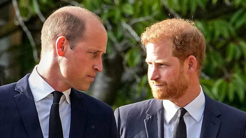 Prince Harry said his brother William