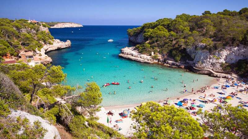 The signs have been put up at beaches across Majorca (Image: Getty Images)