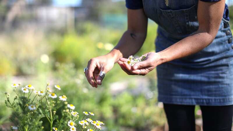 Activist group Green New Deal Rising has called for a new National Nature Service (Image: Shared Content Unit)