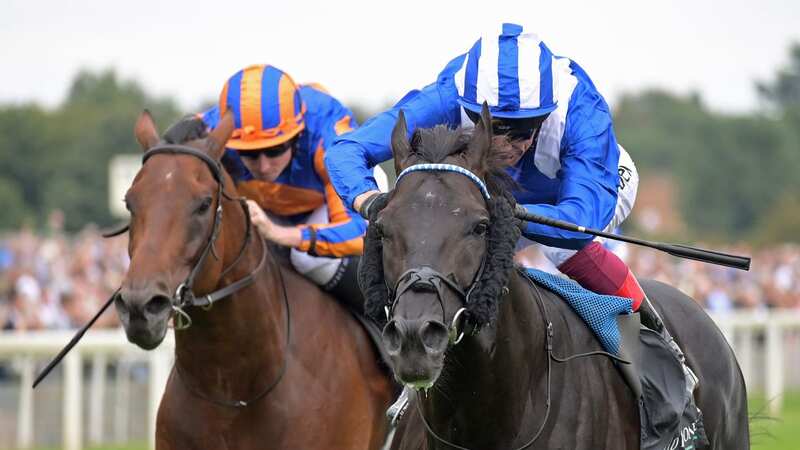 Mostahdaf gets the better of Paddington (left) at York (Image: martin lynch)