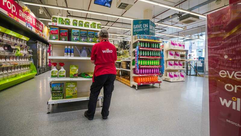 Wilko staff have been urged to apply for new roles at other high street chains - with a "guaranteed interview" offered to staff (Image: Amer Ghazzal/REX/Shutterstock)