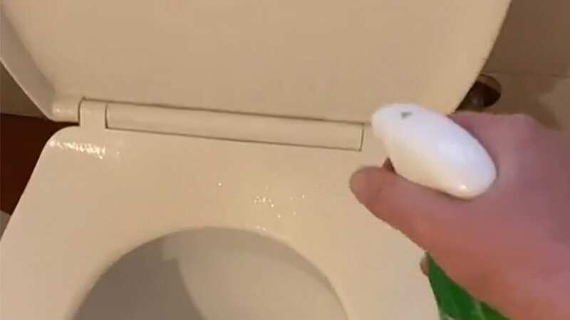 Professional cleaner says we all use disinfectant wrong when cleaning the toilet