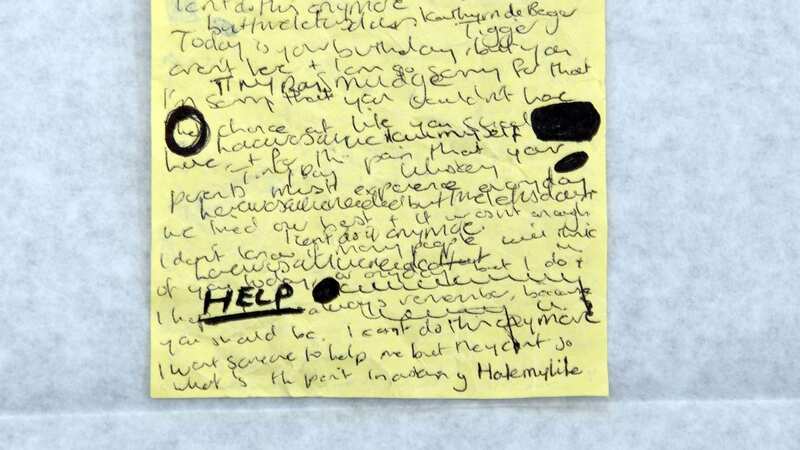 The expert suggests the ink blotches represent 