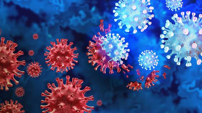 More cases of the rapidly mutating 