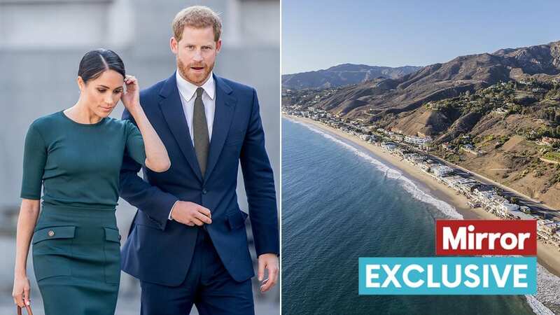 Meghan Markle and Prince Harry
