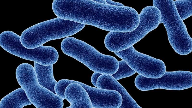 Legionnaires