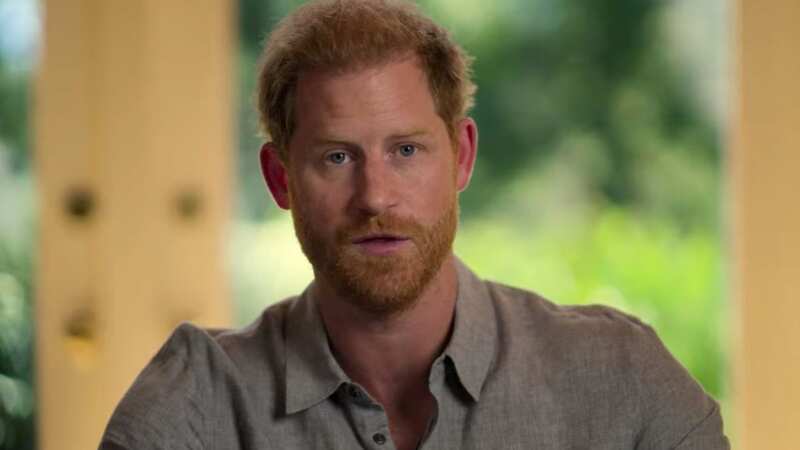 Prince Harry slammed for his 