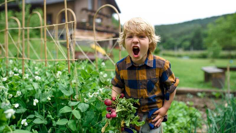 The man was horrified to hear the young boy swearing at his parents (stock photo) (Image: Getty Images/iStockphoto)
