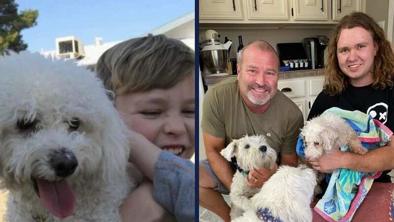 Minion is finally back home with his owners (Image: Maricopa County Animal Care & Control/Facebook)