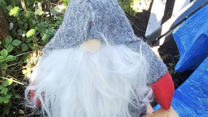 Have you seen a gnome like this in your garden? (Image: North Wales Police South Flintsh SWNS)