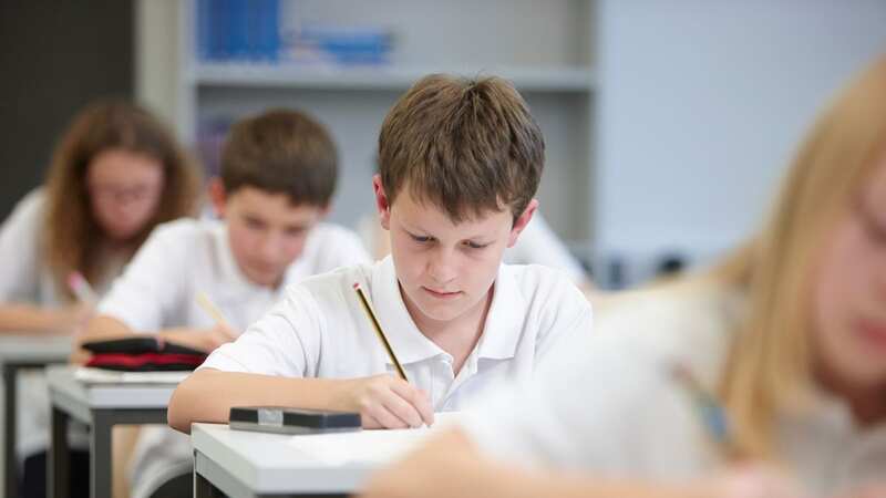 Are you smarter than an eight year old? Prove it with the quiz below (stock image) (Image: Getty Images/Image Source)