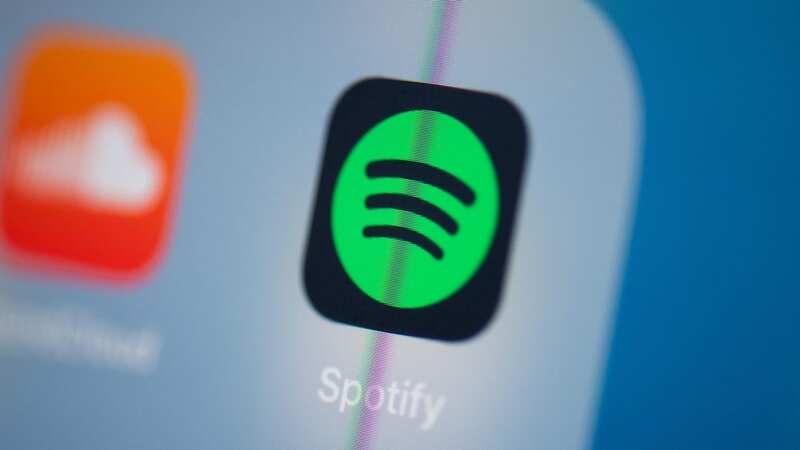 The Spotify boss shut down the rumours in post on X (formerly Twitter) yesterday (Image: AFP via Getty Images)