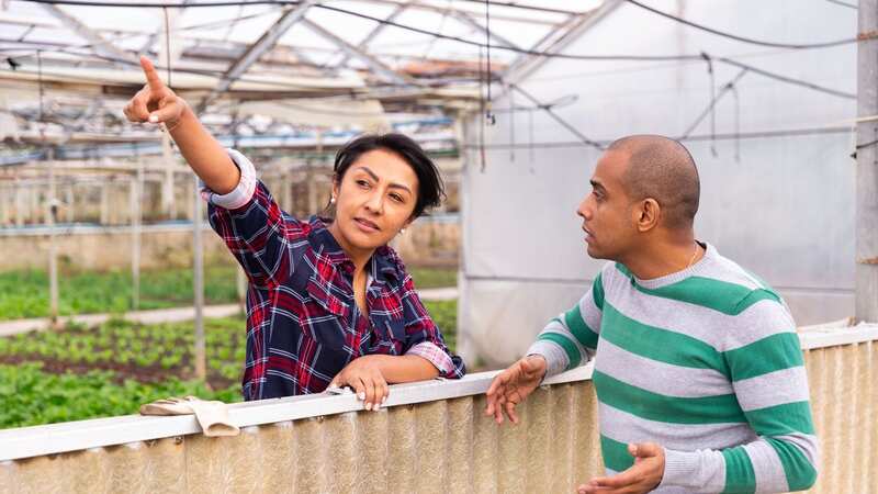 A woman is experiencing ongoing conflict with her neighbours (stock image) (Image: Getty Images/iStockphoto)